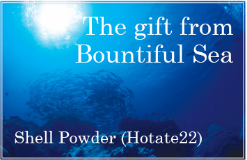 The Gift from Beautiful Sea.