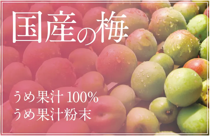 国産の梅・うめ果汁粉末